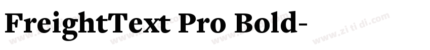 FreightText Pro Bold字体转换